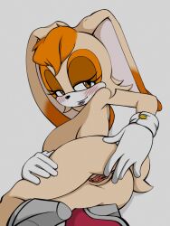 3:4 anthro ass big_breasts blush breasts clothing female genitals gloves handwear hi_res jupiterorange lagomorph leporid lipstick looking_at_viewer mammal nude pussy rabbit sega side_boob solo sonic_(series) sonic_the_hedgehog_(series) spassticus vanilla_the_rabbit