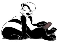 0r0ch1 anthro black_fur erection fur furry_ears hair looking_aside looking_at_viewer looney_tunes male male_only mammal nude penis pepe_le_pew round_ears short_hair side_view skunk smooth_fur solo tagme tail white_fur white_hair