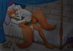 1boy 1girls anthro canine disney female fox fur furry maid_marian male mammal robin_hood_(character) robin_hood_(disney) straight tagme vani