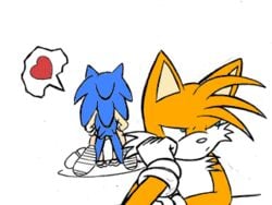 animated anthro ass_up blue_fur cream_the_rabbit epilepticgerbil female from_behind furry gloves hedgehog hip_grab male mammal rabbit rape rape_face sega sonic_(series) sonic_advance sonic_advance_2 sonic_the_hedgehog sonic_the_hedgehog_(series) straight supersonickills tails white_background