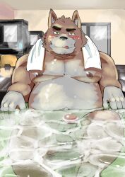 2022 anthro bathing belly black_nose blush brown_body canid canine canis closed_eyes detailed_background domestic_dog erection genitals hi_res humanoid_genitalia humanoid_hands humanoid_penis inside kemono male mammal moobs nipples overweight overweight_male penis sitting solo tongue tongue_out towel towel_around_neck ujishiyo