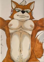 1boy 2026 fox_mccloud furry furry_only gay male male_only nintendo nipples no_visible_genitalia pov rickanovas solo star_fox traditional_media video yaoi