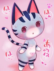 <3_eyes 2020 animal_crossing anthro areola aroused badwingm barely_visible_genitalia barely_visible_pussy blue_ears blue_stripes blue_tail blush blush_lines bodily_fluids breasts brown_eyes colored countershade_face countershade_feet countershade_hands countershade_torso countershading digital_drawing_(artwork) digital_media_(artwork) domestic_cat dripping featureless_feet featureless_hands feet felid feline felis female footprint front_view full-length_portrait fur genital_fluids genitals grey_body grey_fur grey_tail heart hi_res in_heat iris japanese_text leaking light lighting lolly_(animal_crossing) looking_at_viewer mammal markings multi_nipple multicolored_body multicolored_fur navel nintendo nipples no_pupils no_sclera noseless nude open_mouth pawprint pink_areola pink_background pink_inner_ear pink_nipples pink_text pink_tongue portrait prick_ears pussy pussy_juice pussy_juice_drip pussy_juice_leaking pussy_juice_on_leg red_text semi-anthro shaded simple_background small_breasts solo standing stomach_tattoo striped_body striped_fur striped_markings striped_tail stripes sweat tail_markings text three-quarter_view tongue translation_request two_tone_body two_tone_fur two_tone_tail video_games white_body white_countershading white_fur