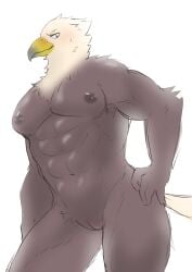 accipitrid accipitriform andromorph animal_genitalia anthro avian beak bird blush cuntboy eagle feathers genital_slit genitals hi_res intersex ioenami88 male muscular muscular_andromorph muscular_arms muscular_intersex navel nipples slit solo standing tail_feathers