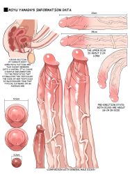 10_inch_penis 15_inch_penis 16_inch_penis 1futa 6_inch_penis anatomical_study anatomy anus balls big_penis bladder breasts cross_section diphallia diphallism erection full-package_futanari futa_anatomy futa_only futanari gomu_(artist) long_penis miyu_yamada multi_penis ovaries penis penis_size_difference pussy tagme uncensored uterus vagina veiny_penis x-ray yamada_miyu_(gomu)