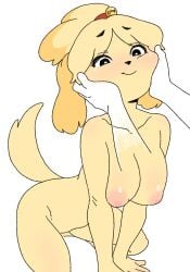 2022 animal_crossing anthro balloon_19 big_breasts blush breasts drosophyllum female furry isabelle_(animal_crossing) nintendo nipples petting