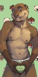 1:2 2020 anthro athletic athletic_anthro athletic_male brown_body brown_eyes brown_fur brown_nose bulge clothing countershade_torso countershading detailed_bulge fur genital_outline hi_res looking_at_viewer lutrine male mammal multicolored_body multicolored_fur mustelid navel nipples penis_outline rudderbutts skrawl tongue tongue_out two_tone_body two_tone_fur underwear whiskers