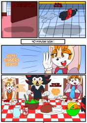 anthro bunny_girl cream_the_rabbit food furry otakon page_7 shadow_the_hedgehog sonic_(series) vanilla_the_rabbit