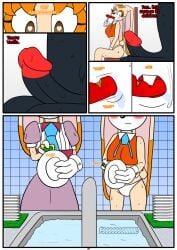 bunny_girl cartoony cream_the_rabbit female food heart-shaped_pupils otakon page_9 penis shadow_the_hedgehog sonic_(series) suggestive_food underwear vanilla_the_rabbit