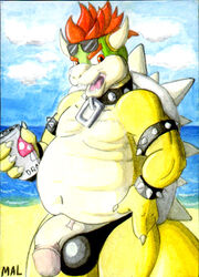 anthro balls beach beverage bowser can chubby collar eyewear flaccid furry furry_only horn koopa looking_at_viewer mal_(artist) male male_only mario_(series) mushroom nintendo overweight penis scalie seaside shell soda solo spikes straight_hair sunglasses super_mario_bros.