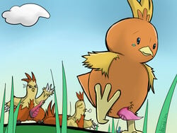 2010 ariffrazalin combusken feral male_only mudkip nintendo pokemon pokemon_(species) pokemon_rse torchic