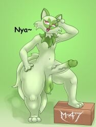 1boy anthro balls erection femboy game_freak generation_9_pokemon genitals girly green_theme hi_res m-47 male male_focus male_only nintendo penis pokémon_(species) pokemon pokemon_(species) pokemon_sv solo sprigatito video_games