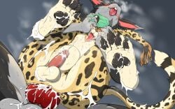 ahe_gao anal anal_sex animal_genitalia animal_penis anthro ass balls big_balls blush bodily_fluids breath canine_penis cheetah cum cum_dripping cum_everywhere cum_in_ass cum_inside cum_on_balls cum_on_butt cum_on_chest cum_on_feet cum_on_penis cum_on_self dripping drooling duo ejaculation excessive_cum excessive_sweat feet felid feline felix_(roadd) full_nelson genital_fluids genitals head_grab hi_res humanoid_genitalia humanoid_penis inflation lagomorph leporid looking_pleasured male male/male mammal messy musk musk_clouds nipples panting paws penetration penis rabbit saliva saliva_drip saliva_on_tongue saliva_string spicyocean sweat sweaty_balls sweaty_butt sweaty_face sweaty_feet sweaty_genitalia sweaty_legs tongue tongue_out