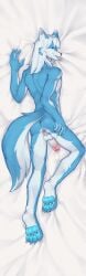 anthro anus canid canine canis dakimakura_design genitals hi_res kyufuru male mammal paws penis solo wolf