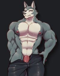 abs anthro beastars big_muscles big_penis black_background black_bottomwear black_claws black_clothing black_nose black_pants bodily_fluids bottomwear canid canine canis claws clothing croiyan fur genitals grey_body grey_fur hi_res legoshi_(beastars) looking_at_viewer male male_only mammal muscular muscular_anthro muscular_male nipples pants pecs penis penis_base simple_background solo sweat undressing white_body white_fur wolf zipper