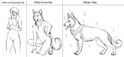 animal_genitalia anthro biped black_and_white breasts canid canine canis cheek_tuft chest_tuft digitigrade domestic_dog english_text facial_tuft fangs female feral fluffy fluffy_tail genitals german_shepherd group hair herding_dog human hybernation inner_ear_fluff kneeling long_hair looking_at_viewer male mammal monochrome nipples open_mouth pastoral_dog quadruped sheath sparkles standing text tongue tongue_out tuft