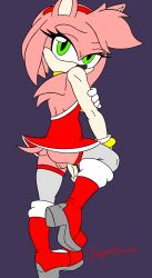 amy_rose anthro ass balls boots clothing commando dress femboy fur furry furry_only genderswap_(ftm) jsprdraws male male_only penis rule_63 sonic_(series) sonic_the_hedgehog_(series) stockings tail upskirt