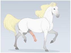 2019 4:3 animal_genitalia animal_penis balls blonde_hair blonde_mane blue_eyes digital_media_(artwork) equid equine equine_penis feral genitals hair hooves horse huskii-s looking_at_viewer male mammal mane penis pink_penis raised_leg simple_background solo white_body yellow_tail