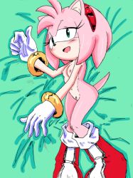 amy_rose anthro blush body_pillow cute_expression dakimakura_design eulipotyphlan female fur hair hedgehog hi_res mammal pillow pink_body pink_fur pink_hair pink_nose randomguy999 sega solo solo_focus sonic_(series)