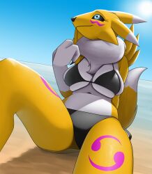 anthro bandai_namco beach big_breasts bikini black_sclera blue_sky breast_squish breasts clothing creatiffy digimon digimon_(species) female hi_res huge_breasts looking_aside renamon seaside sitting sky smile solo squish swimwear