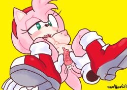 amy_rose anthro boots clothing coolblue duo erect_clitoris eulipotyphlan exposed_torso female footwear fur genitals hair handwear hedgehog humanoid mammal pink_body pink_fur pink_hair pussy sega short_hair solo_focus sonic_(series) sonic_the_hedgehog_(series) spread_pussy spreading