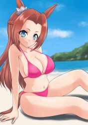 absurdres animal_ears beach bikini blue_eyes blue_sky braid breasts brown_hair cleavage cloud cowboy_shot crown_braid day female female highres horse_ears horse_girl horse_tail kawakami_princess_(umamusume) large_breasts long_hair mountain ocean outdoors pink_bikini sitting sky solo swimsuit tail turu_(rakugakituru77) umamusume