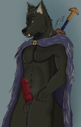 anthro balls biped black_body black_fur black_nose blaidd_(elden_ring) canid canine canis cape clothing copinlighter elden_ring erection fromsoftware front_view fur genitals hi_res knot looking_at_viewer male male_only mammal melee_weapon open_mouth penis purple_eyes solo standing sword weapon wolf