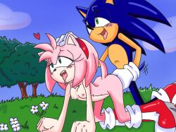 1boy 1boy1girl 1girls amy_rose female flowers grass half-closed_eyes male male/female outdoors outside randomguy999 sex sky sonic_(series) sonic_the_hedgehog sonic_the_hedgehog_(series) trees