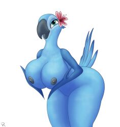 anthro avian beak big_breasts bird black_nipples blue_body blue_feathers blue_macaw blue_sky_studios breasts feathers female jewel_(rio) nipples non-mammal_breasts nude r-rova rio_(series) simple_background solo tail_feathers thick_thighs white_background wide_hips