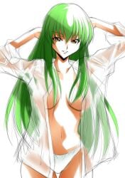 breasts c.c. code_geass female panties tagme yamadaa175