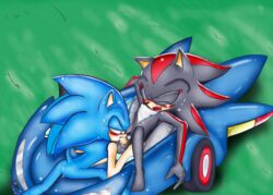 beige_skin black_fur blue_fur car color fur hedgehog male male_only multiple_males shadow_the_hedgehog sonic_(series) sonic_the_hedgehog speed_star tagme vehicle yaoi