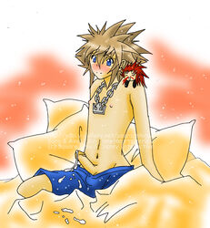 axel_(kingdom_hearts) disney kingdom_hearts male_only penis solo_male sora square_enix tagme