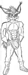 archie_comics lightning_lynx male_only sonic_(series) tagme