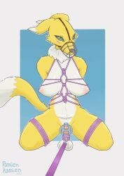 1futa 2022 absurd_res anthro artist_name ball_stretcher balls bandai_namco blue_eyes body_fur bondage bound breasts cage_muzzle chastity_cage chastity_device clothing damienkamien dark_eyes dark_nose digimon digimon_(species) ears_back fluffy_tail futa_only futanari genitals hi_res leash nipples nude penis pivoted_ears renamon restraints rope rope_around_balls rope_bondage rope_harness shirtless simple_background solo undressing white_countershading yellow_fur