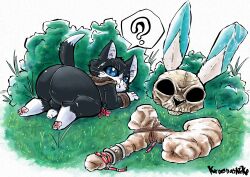 ? absurd_res all_fours anthro ass backsack balls big_butt black_and_white_fur black_body black_fur blue_eyes capcom dipstick_tail felid foreskin fur genitals grass hi_res kroenasneko looking_at_viewer lynian male male_focus male_only mammal markings melynx monster_hunter mostly_nude multicolored_body multicolored_fur pawpads penis plant shrub solo solo_male tail_markings two_tone_body two_tone_fur video_games white_body white_fur