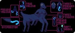 1boy 3_fingers 4_eyes 6_legs alien anthro blue_tentacles clitoris cuntboy cuntboy_sans_balls diagram diphallia diphallism frontal_taur_genitals frontal_taur_pussy genitals grey_body grey_skin herm hermaphrodite high_res infographic informative intersex intersex_only male male_focus male_only maleherm monster multi_clitoris multi_eye multi_genitalia multi_leg multi_limb multi_penis multi_pussy negativskill ovipositor penis penis_clitoris pixel_art purple_text pussy pussy_tail short_tail solo solo_focus tail tail_pussy taur tentacle tentacle_ovipositor teratophilia text triphallia yellow_eyes