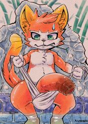 1boy absurd_res anthro big_penis clothed clothing crown_prince_(gunfire_reborn) domestic_cat feet_in_water felid feline felis foreskin fur genitals green_eyes gunfire_reborn hi_res hot_spring huge_cock hyper hyper_genitalia hyper_penis kroenasneko male male_only mammal onsen orange_body orange_fur partially_clothed partially_submerged penis sitting solo water white_body white_fur