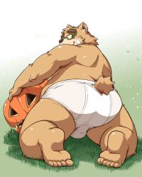 2022 anthro ass belly blush brown_body bulge eyewear food fruit glasses halloween_pumpkin hi_res humanoid_hands kemono lifewonders male mammal overweight overweight_male plant pumpkin solo takagi_kyou tokyo_afterschool_summoners ursid video_games volos