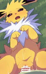 2024 blush bodily_fluids censored cum cum_in_pussy cum_inside eeveelution faceless_character faceless_male female female_penetrated feral feral_penetrated fur generation_1_pokemon genital_fluids genitals hi_res jolteon male male/female male_penetrating male_penetrating_female nintendo penetration penis pokemon pokemon_(species) pussy rumine sex tears vaginal_penetration vaginal_penetration yellow_body yellow_fur