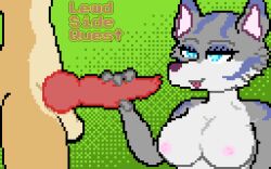 animated anthro bedroom_eyes big_breasts big_penis breasts canid canine canis digital_media_(artwork) eaton female genitals gif handjob knot lena_(lewdsidequest) lewdsidequest male male/female mammal narrowed_eyes penile penis pixel_art seductive sex tongue tongue_out wolf