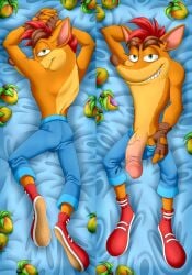 1boy 2022 ass big_penis body_pillow butt crash_(series) crash_bandicoot dakimakura dakimakura_design fingerless_gloves fur furry gay green_eyes itsuko103 large_penis male male_only nude penis shorts solo veiny_penis video_games wumpa_fruit yaoi