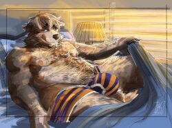 anthro bed brown_body brown_fur bulge canid canine canis clothing domestic_dog floppy_ears fur furniture hyprknetc looking_at_viewer lying male mammal nipples overweight overweight_male solo tongue tongue_out underwear undressing whiskers