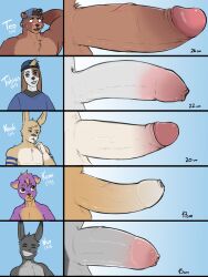 anthro big_penis bunnyfeet chart cut_(disambiguation) foreskin furry genitals hi_res nico noah_(disambiguation) penis penis_size_difference size_chart size_difference teo text tobias_(disambiguation)