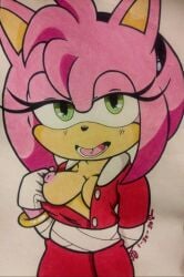 amy_rose amy_rose_(boom) breasts eulipotyphlan female flashing green_eyes hair hedgehog hi_res kinkking mammal nipples pink_hair sega sonic_(series) sonic_boom sonic_the_hedgehog_(series)