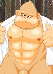 absurd_res ape bantau3 clothed clothing donkey_kong_(series) genitals haplorhine hi_res kong_guard_(tsmbm) looking_at_viewer male mammal mario_(series) open_clothing open_shirt open_topwear penis primate shirt solo solo_male super_mario_bros._(2023_film) topwear