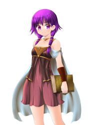 1girls bare_arms bare_shoulders bare_thighs book braid breasts cape collarbone dress female female_only fire_emblem fire_emblem:_the_sacred_stones lute_(fire_emblem) medium_hair midorinor nintendo purple_eyes purple_hair small_breasts solo thighs transparent_background twin_braids