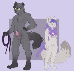 anthro bondage bound canid canine canis dominant fluffy fluffy_tail fox furry hi_res male mammal model_sheet penis rope scar shibeari submissive wolf