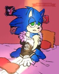 animal_genitalia bed bite_mark darkness jacket kantaroluxpus male male_only open_clothes open_jacket photo shadow_the_hedgehog solo sonadow sonic_(series) sonic_the_hedgehog sonic_the_hedgehog_(series) tongue