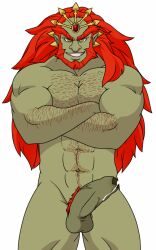 balls bara boner erection ganondorf ganondorf_(hyrule_warriors) gay hairy hyrule_warriors male male_only muscles muscular nude penis precum puri_porn purico solo solo_male the_legend_of_zelda