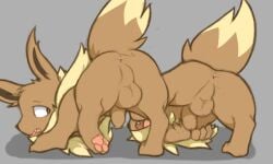 anus ass balls duo eevee feral foreskin genitals hi_res male male/male nintendo penis pokémon_(species) pokemon presenting presenting_hindquarters saljidark video_games